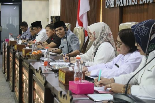 Kemenko Kumham Imipas Koordinasi dengan Komisi I DPRD Lampung