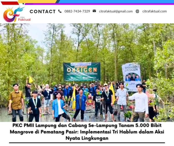 PKC PMII Lampung dan Cabang Se-Lampung Tanam 5.000 Bibit Mangrove di Pematang Pasir: Implementasi Tri Hablum dalam Aksi Nyata Lingkungan